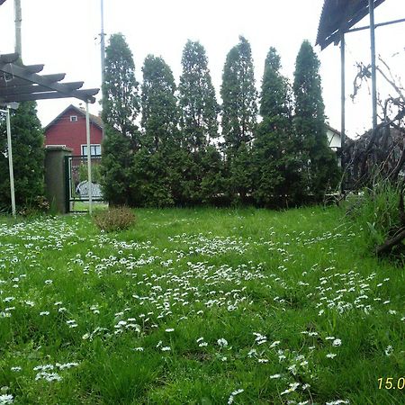 Apartamento Kuca Za Odmor Jelena Kladovo Exterior foto