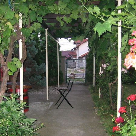 Apartamento Kuca Za Odmor Jelena Kladovo Exterior foto