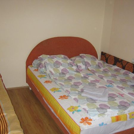 Apartamento Kuca Za Odmor Jelena Kladovo Exterior foto
