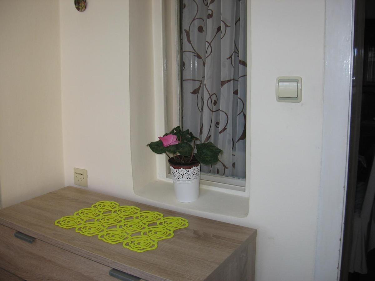 Apartamento Kuca Za Odmor Jelena Kladovo Exterior foto