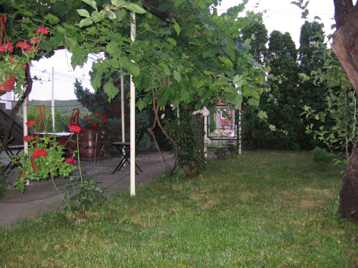 Apartamento Kuca Za Odmor Jelena Kladovo Exterior foto