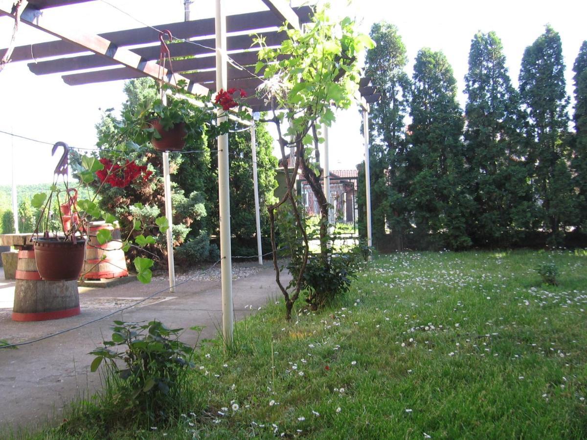 Apartamento Kuca Za Odmor Jelena Kladovo Exterior foto